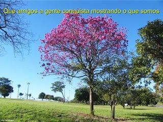 Que amigos a gente conquista mostrando o que somosQue amigos a gente conquista mostrando o que somos
 