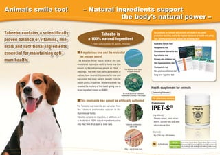 Animals smile too!

Taheebo contains a scientiﬁcally
proven balance of vitamins, minmin
erals and nutritional ingredients
essential for maintaining optiopti
mum health.

− Natural ingredients support
the body’s natural power –
Taheebo is
a 100% natural ingredient
* Fiber, carbohydrate, fat, tannin, minerals

Our products for humans and animals are made in the latest
production facilities and to the highest standards of health and safety.
This Taheebo product has passed the following tests:
Acute oral toxicity test
Mutagenicity test
Chromosomal aberration test

A mysterious tree and the revival of
an ancient secret

Eye irritation test
Primary skin irritation test

The Amazon River basin, one of the last

Skin hypersensitivity test

unexplored regions on earth is home to a tree
known by the indigenous people as “God’ s
blessings.” For over 1500 years, generations of

Phototoxicity test
The Amazon River basin
in South America

Skin photosensitization test
Long-term ingestion test

natives have revered this wonderful tree and
harvested the inner bark to beneﬁt from its
health giving properties. Modern science has
revealed the mystery of this health giving tree to

Health supplement for animals

be an ingredient known as NQ801.
An aerial picture of Tabebuia
avellanedae growing in the jungle

This invaluable tree cannot be artiﬁcially cultivated
The Taheebo raw materials are harvested from

For veterinary use only
Product name

IPET-S®

the Tabebuia avellanedae species in the
Bignoniaceae family.

[Ingredients]

Taheebo contains no impurities or additives and

Taheebo extract, yeast extract,

is made from 100% natural ingredients using
only the 7 mm thick layer of inner bark.

Containing Taheebo

dextrin, sucrose fatty acid ester,
Tabebuia avellanedae
native tree

silicon dioxide (ﬁne)
[Content]
9 g (150 mg × 60 tablets)

Actual size
Only 7 mm of inner bark

Weight

Up to 10 kg Up to 20 kg Up to 30 kg 30 kg or more

Recommended
2 to 4 tablets 4 to 6 tablets 6 to 8 tablets 8 tablets or more
dosage

 