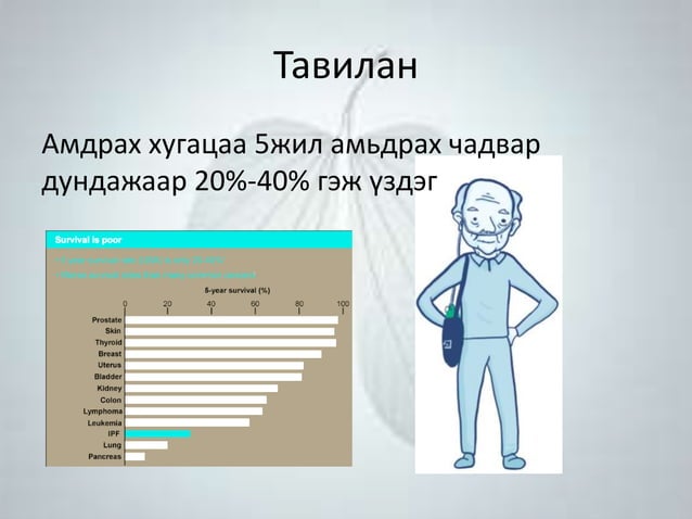 Шалтгаан тодорхойгүй уушгины фиброз өвчин | PPT