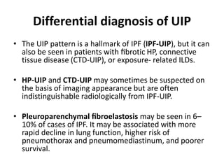 Uip Diffuse Pattern ipf2022.pptx