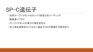 SP-C遺伝子
・天然サーファクタントのタンパク質成分をコーディング
・膜貫通ペプチド
・サーファクタントの単分子膜を安定化
・成人発症家族性IIPsではSP-C遺伝子SNPが関連の可能性あり
 