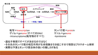 転写＝transcription
ゲノム＝genome（すべてのDNA）
→transcriptome(転写物のすべて)
タンパク質＝protein
ゲノム＝genome
→proteome
・遺伝子発現ですべてが決まるのではなく
・その先のタンパク質の相互作用が生命現象を引き起こすので理想はプロテオーム解析
・実際は予算とタンパク質自体の扱いの難しさがある
 