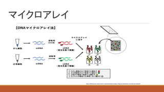 マイクロアレイ
https://lifescience-study.com/2-comprehensive-analysis-of-gene-expression-microarray-method/
 