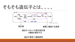 そもそも遺伝子とは、、、、
実際に機能する道具設計図
遺伝子→タンパク質の設計図
→機能を規定する
遺伝子異常≒機能異常
http://www.drgelo.club/?p=443
 