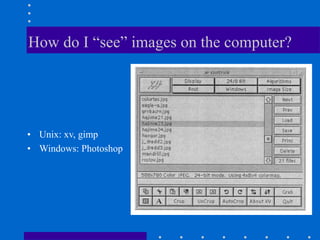 How do I “see” images on the computer?
• Unix: xv, gimp
• Windows: Photoshop
 