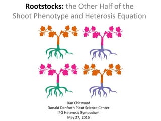 Rootstocks: the Other Half of the
Shoot Phenotype and Heterosis Equation
Dan Chitwood
Donald Danforth Plant Science Center
IPG Heterosis Symposium
May 27, 2016
 