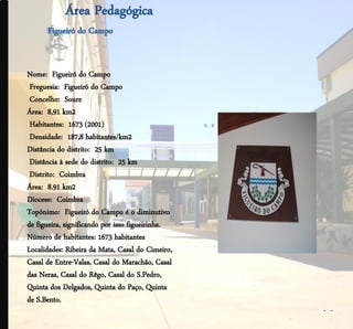 Nome: Figueiró do Campo
 Freguesia: Figueiró do Campo
 Concelho: Soure
Área: 8,91 km2
 Habitantes: 1673 (2001)
 Densidade: 187,8 habitantes/km2
Distância do distrito: 25 km
 Distância à sede do distrito: 25 km
 Distrito: Coimbra
Área: 8.91 km2
Diocese: Coimbra
Topónimo: Figueiró do Campo é o diminutivo
de figueira, significando por isso figueirinha.
Número de habitantes: 1673 habitantes
Localidades: Ribeira da Mata, Casal do Cimeiro,
Casal de Entre-Valas, Casal do Marachão, Casal
das Neras, Casal do Rêgo, Casal do S.Pedro,
Quinta dos Delgados, Quinta do Paço, Quinta
de S.Bento.
                                                  - -
 
