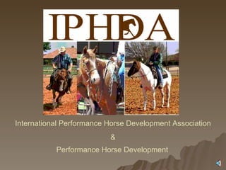 International Performance Horse Development Association & Performance Horse Development   