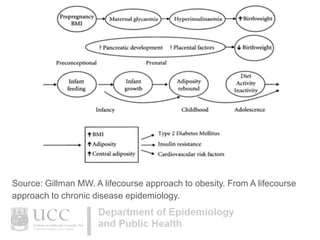 Source: Gillman MW. A lifecourse approach to obesity. From A lifecourse
approach to chronic disease epidemiology.

 