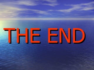 THE END   