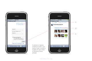 Flickr en iPhone