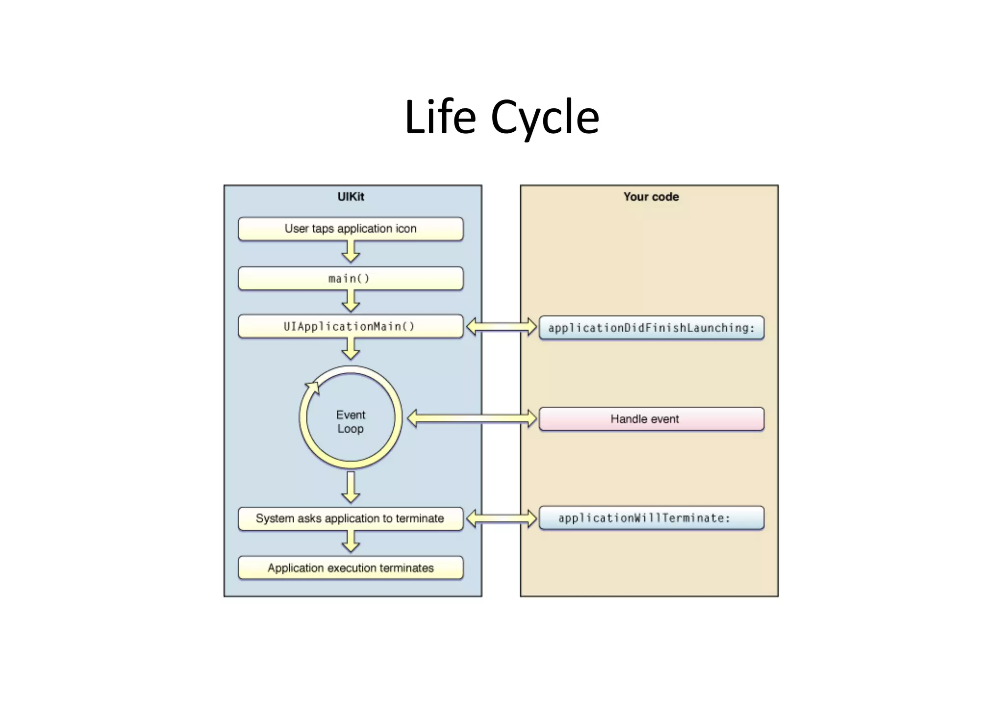 Life	
  Cycle	
  
 