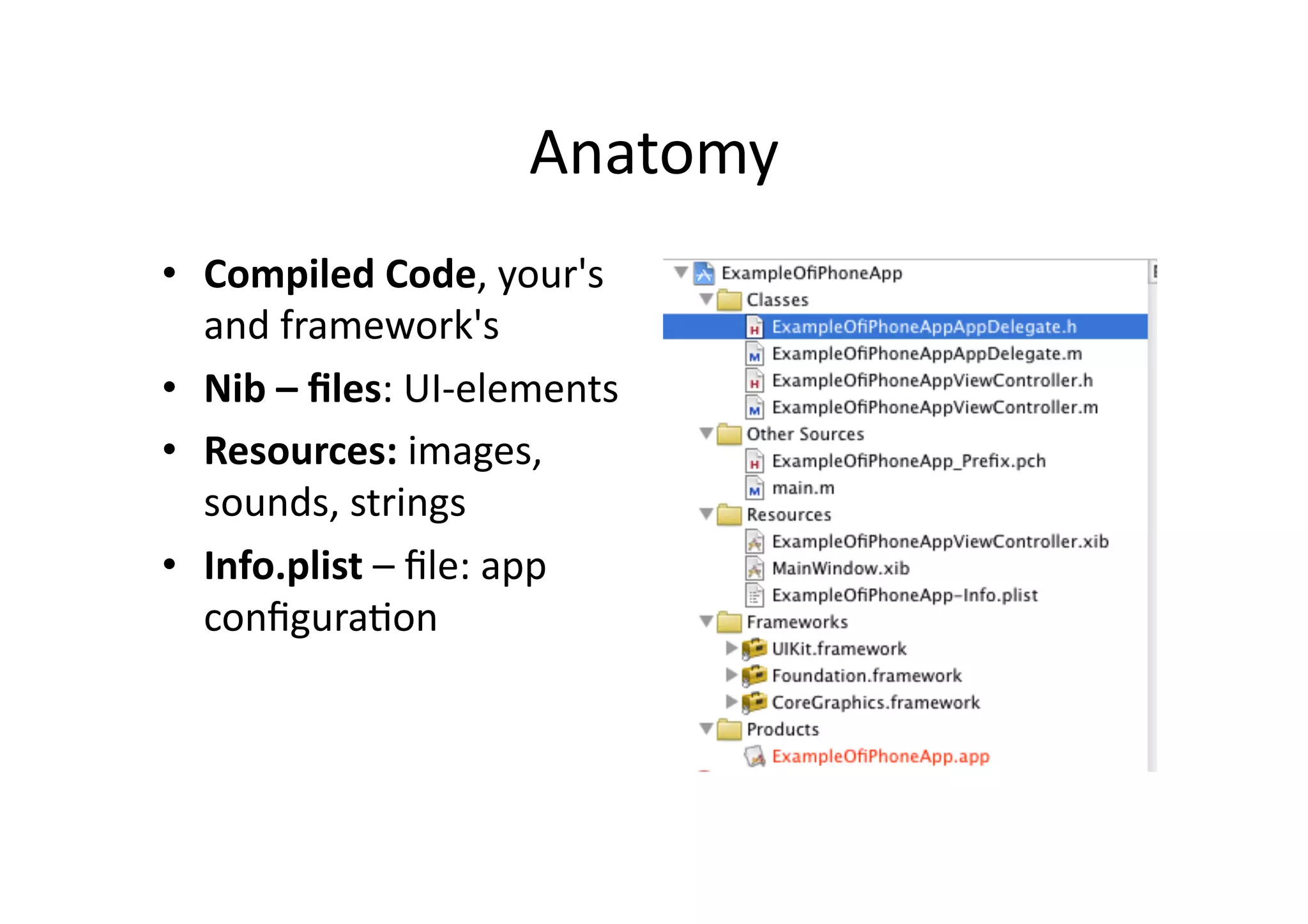 Anatomy	
  
•  Compiled	
  Code,	
  your's	
  
   and	
  framework's	
  
•  Nib	
  –	
  ﬁles:	
  UI-­‐elements	
  
•  Resources:	
  images,	
  
   sounds,	
  strings	
  
•  Info.plist	
  –	
  ﬁle:	
  app	
  
   conﬁguraIon	
  	
  
 