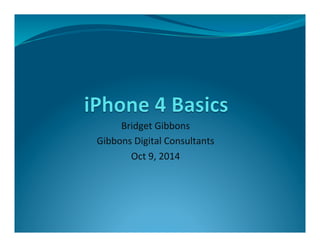 Bridget 
Gibbons 
Gibbons 
Digital 
Consultants 
Oct 
9, 
2014 
 