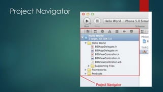 Project Navigator
 