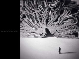 Cara Barer - US - 3rd Place - Still Life.
 