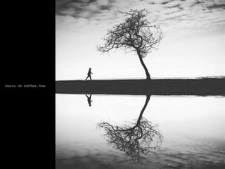 Coco Liu - US - 2nd Place - Trees
 