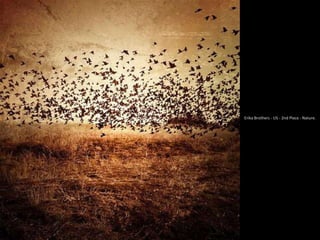 Erika Brothers - US - 2nd Place - Nature.
 