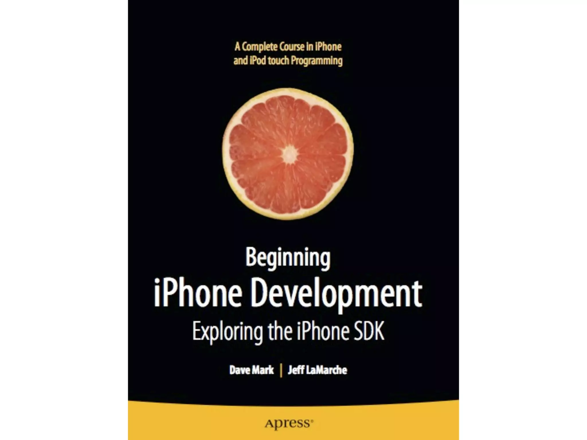 Programing for the iPhone