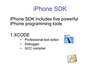 Programing for the iPhone