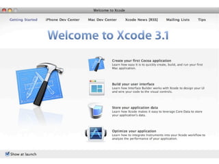 Programing for the iPhone