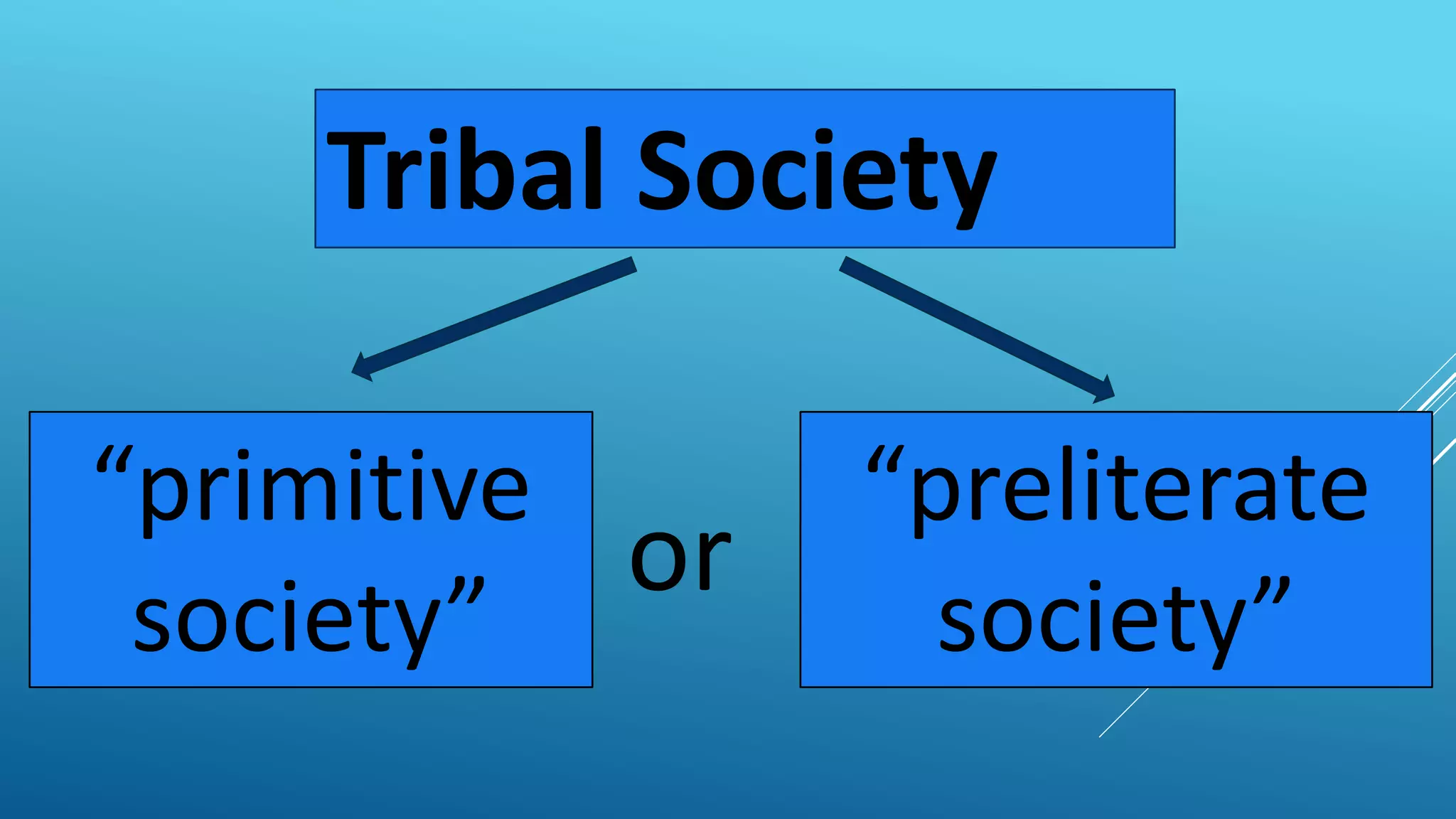 Tribal Society
“preliterate
society”
“primitive
society”
or
 