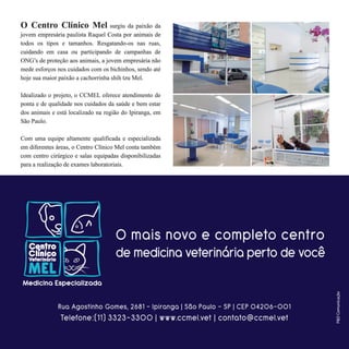 19I p i r a n g a E s t i l o
 