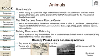 Animals 
Mount Noddy 
 Mount Noddy is a place that helps find homes for animals. It is owned and operated by the 
Sussex, Chichester, and District Branch of the RSPCA (Royal Society for the Prevention of 
Cruelty to Animals) 
The Old Gardens Animal Rescue Center 
 This is an animal rescue center near Siddlesham, which is south of Chichester. Over the years it 
has provided shelter for chickens, geese, turkeys, ducks, pigs, sheep, goats, peacoks, pigeons, 
cats, and dogs. 
Bulldog Rescue and Rehoming 
 This is a place run only by volunteers. This is located in West Sussex which is home to UK's only 
specialist Bulldog Rescue organization. 
Recently Passed Laws Concerning Animals 
 Any animal who bites a person will be put down. 
 Anyone who is vivisecting an animal is illegal. Anyone who does this will be pressed with the 
charges of animal cruelty. 
Topics: 
• Education 
• Amusements 
• Employment 
Opportunitie 
s 
• Safety 
• Medical/Psyc 
hological 
Care 
• Famous 
Citizens 
• Recent 
Events 
By: Abigail 
Tanuma 
 