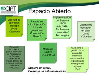 Agenda del evento