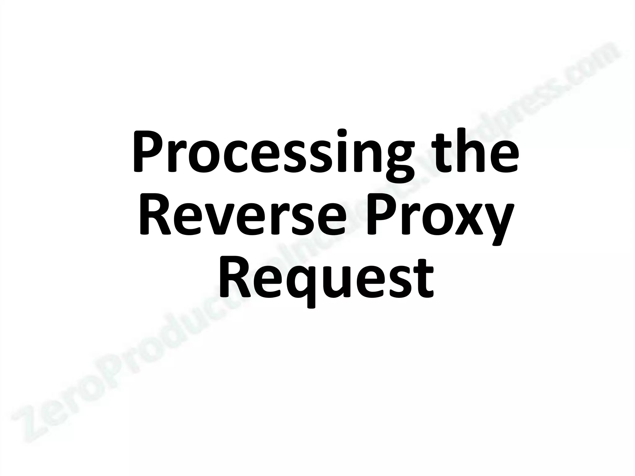 Processing the
Reverse Proxy
   Request
 