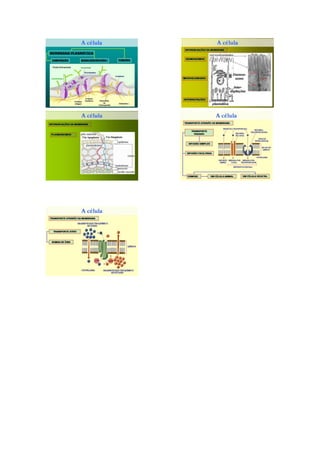 I plano de aula  pronto em pdf