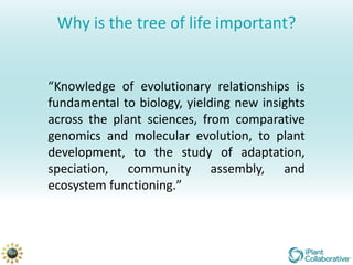 Why is the tree of life important?


“Knowledge of evolutionary relationships is
fundamental to biology, yielding new insights
across the plant sciences, from comparative
genomics and molecular evolution, to plant
development, to the study of adaptation,
speciation, community assembly, and
ecosystem functioning.”
 