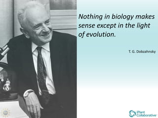 Nothing in biology makes
sense except in the light
of evolution.

                T. G. Dobzahnsky
 