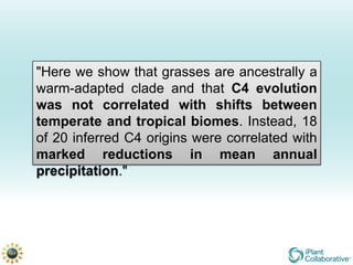 "Here we show that grasses are ancestrally a
warm-adapted clade and that C4 evolution
was not correlated with shifts between
temperate and tropical biomes. Instead, 18
of 20 inferred C4 origins were correlated with
marked reductions in mean annual
precipitation."
 