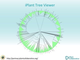 iPlant Tree Viewer




http://portnoy.iplantcollaborative.org/
 