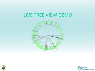 LIVE TREE VIEW DEMO
 