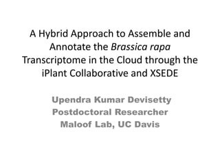 A Hybrid Approach to Assemble and
Annotate the Brassica rapa
Transcriptome in the Cloud through the
iPlant Collaborative and XSEDE
Upendra Kumar Devisetty
Postdoctoral Researcher
Maloof Lab, UC Davis
 