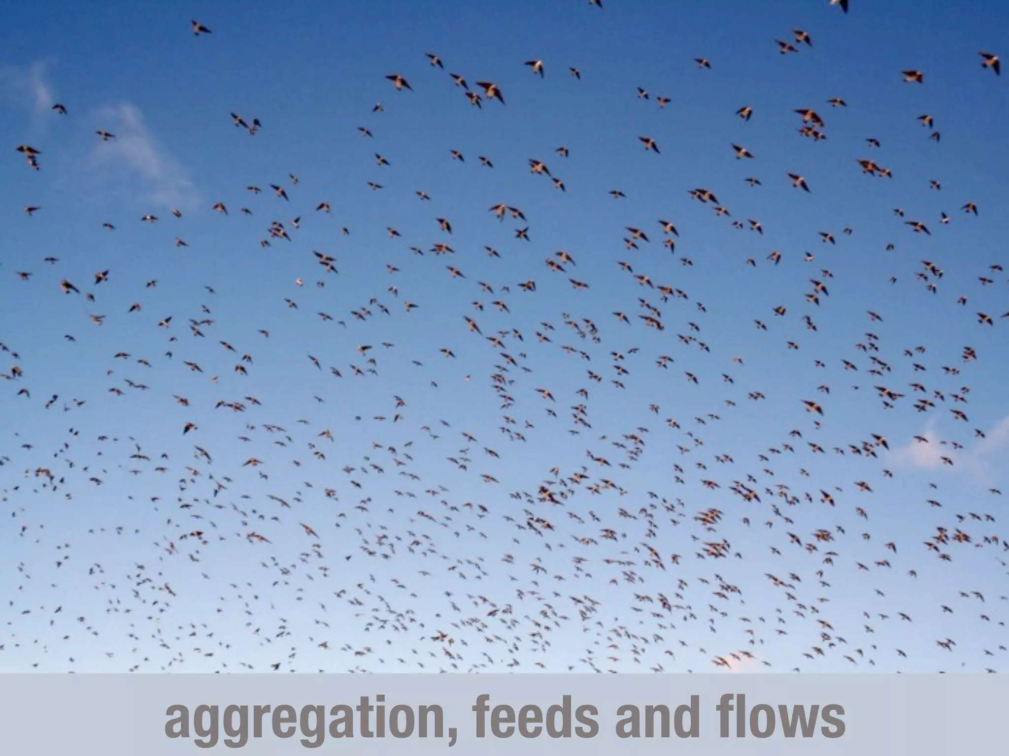 Social Networks as Information Filters