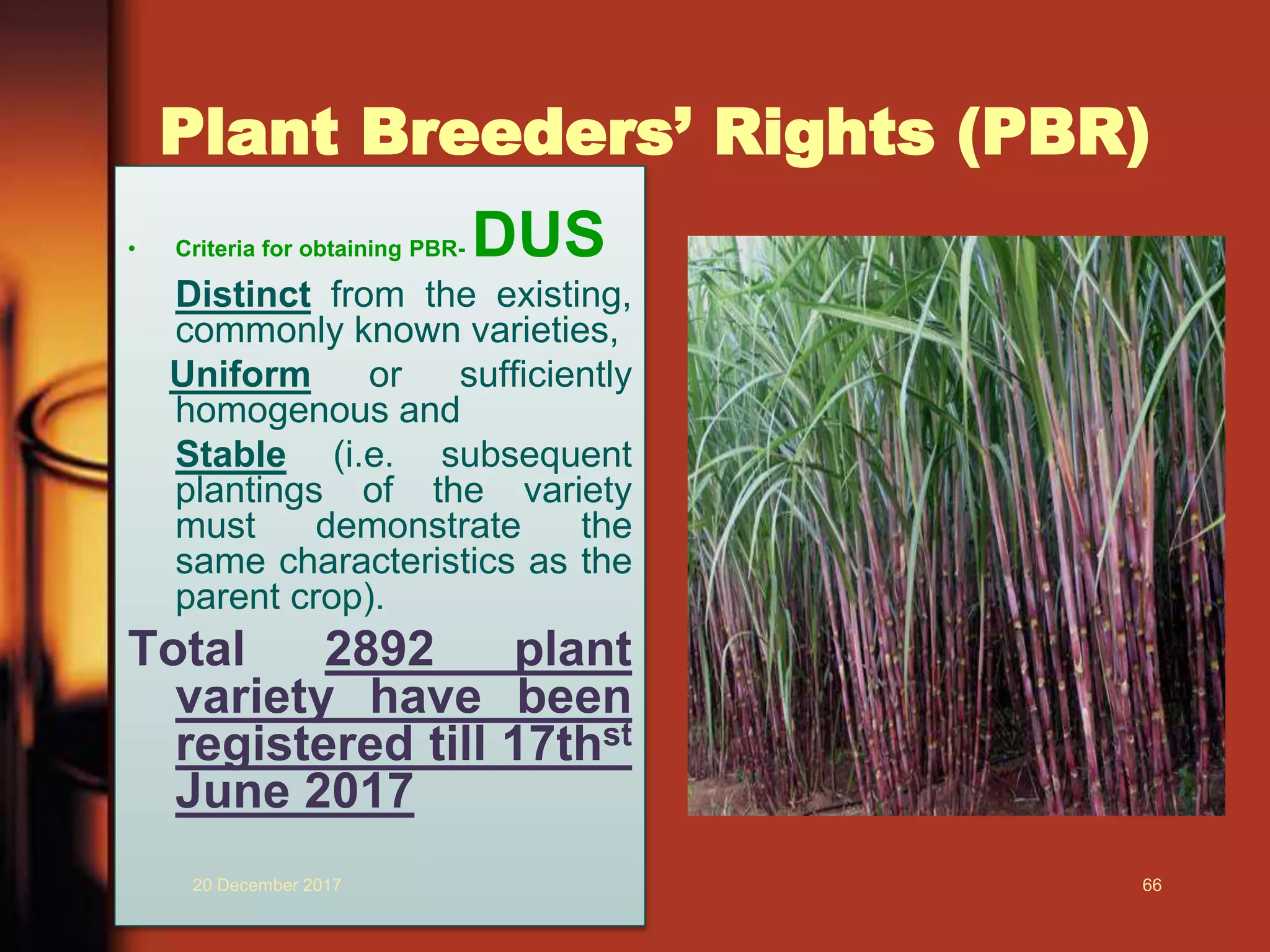 Plant Breeders’ Rights (PBR)
• Criteria for obtaining PBR- DUS
Distinct from the existing,
commonly known varieties,
Uniform or sufficiently
homogenous and
Stable (i.e. subsequent
plantings of the variety
must demonstrate the
same characteristics as the
parent crop).
Total 2892 plant
variety have been
registered till 17thst
June 2017
20 December 2017 66
 