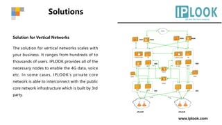 IPLOOK Networks | PDF