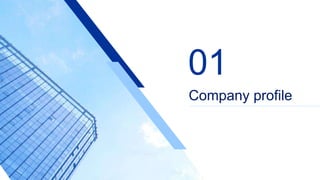 Company profile
01
 