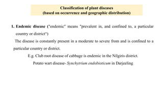 Classification of plant diseases
(based on occurrence and geographic distribution)
1. Endemic disease ("endemic" means "prevalent in, and confined to, a particular
country or district“)
The disease is constantly present in a moderate to severe from and is confined to a
particular country or district.
E.g. Club root disease of cabbage is endemic in the Nilgiris district.
Potato wart disease- Synchytrium endobioticum in Darjeeling
 