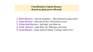 Classification of plant diseases
(based on plant parts affected)
1. Root-diseases - root rot of pulses – Macrophomina phaseolina
2. Stem diseases - stem rot of rice- Sclerotium oryzae
3. Foliar/leaf diseases - leaf spot, rice blast etc
4. Fruit diseases - jack fruit rot- Rhizopus atrocarpi
5. Seed diseases - loose smut of wheat- Ustilago nuda tritici
 