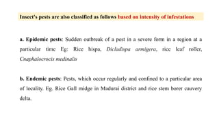 a. Epidemic pests: Sudden outbreak of a pest in a severe form in a region at a
particular time Eg: Rice hispa, Dicladispa armigera, rice leaf roller,
Cnaphalocrocis medinalis
b. Endemic pests: Pests, which occur regularly and confined to a particular area
of locality. Eg. Rice Gall midge in Madurai district and rice stem borer cauvery
delta.
Insect's pests are also classified as follows based on intensity of infestations
 