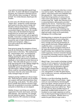 crop until overwintering adult squash bugs         to vegetables by insect pests when hay or straw
have died. To assist with disease management       was used as mulch. The difference was due to
decisions, the Cooperative Extension Service       spiders, which find mulch more habitable than
(CES) will often issue warnings of “infection      bare ground (15). Other researchers have
periods” for certain diseases, based upon the      found that living mulches of various clovers
weather.                                           reduce insect pest damage to vegetables and
                                                   orchard crops (16). Again, this reduction is due
In some cases, the CES also keeps track of         to natural predators and parasites provided
“degree days” needed for certain important         habitat by the clovers. Vetch has been used as
insect pests to develop. Insects, being cold-      both a nitrogen source and as a weed suppres-
blooded, will not develop below or above           sive mulch in tomatoes in Maryland (17).
certain threshold temperatures. Calculating        Growers must be aware that mulching may
accumulated degree days, that is, the number       also provide a more friendly environment for
of days above the threshold development            slugs and snails, which can be particularly
temperature for an insect pest, makes the          damaging at the seedling stage.
prediction of certain events, such as egg hatch,
possible. University of California has an excel-   Mulching helps to minimize the spread of soil-
lent website that uses weather station data from   borne plant pathogens by preventing their
around the state to help California growers        transmission through soil splash. Mulch, if
predict pest emergence: <http://
                                                   heavy enough, prevents the germination of
www.ipm.ucdavis.edu/WEATHER/
                                                   many annual weed seeds. Winged aphids are
ddretrieve.html>.
                                                   repelled by silver- or aluminum-colored
                                                   mulches (18). Recent springtime field tests at
Some growers gauge the emergence of insect
                                                   the Agricultural Research Service in Florence,
pests by the flowering of certain non-crop plant
                                                   South Carolina, have indicated that red plastic
species native to the farm. This method uses
the “natural degree days” accumulated by           mulch suppresses root-knot nematode damage
plants. For example, a grower might time           in tomatoes by diverting resources away from
cabbage planting for three weeks after the         the roots (and nematodes) and into foliage and
Amelanchier species (also known as saskatoon,      fruit (19).
shadbush, or serviceberry) on their farm are in
bloom. This will enable the grower to avoid        Biotech Crops. Gene transfer technology is being
peak egg-laying time of the cabbage maggot fly,    used by several companies to develop cultivars
as the egg hatch occurs about the time             resistant to insects, diseases, and herbicides.
Amelanchier species are flowering (14). Using      An example is the incorporation of genetic
this information, cabbage maggot management        material from Bacillus thuringiensis (Bt), a
efforts could be concentrated during a known       naturally occurring bacterium, into cotton,
time frame when the early instars (the most        corn, and potatoes, to make the plant tissues
easily managed stage) are active.                  toxic to bollworm, earworm, and potato beetle
                                                   larvae, respectively.
Optimum growing conditions are always impor-
tant. Plants that grow quickly and are healthy     Whether or not this technology should be
can compete with and resist pests better than      adopted is the subject of much debate. Oppo-
slow-growing, weak plants. Too often, plants       nents are concerned that by introducing Bt
grown outside their natural ecosystem range        genes into plants, selection pressure for resis-
must rely on pesticides to overcome conditions     tance to the Bt toxin will intensify and a valu-
and pests to which they are not adapted.           able biological control tool will be lost. There
                                                   are also concerns about possible impacts of
Mulches, living or non-living, are useful for      genetically-modified plant products (i.e., root
suppression of weeds, insect pests, and some       exudates) on non-target organisms as well as
plant diseases. Hay and straw, for example,        fears of altered genes being transferred to weed
provide habitat for spiders. Research in Ten-      relatives of crop plants. Whether there is a
nessee showed a 70% reduction in damage            market for gene-altered crops is also a

         //Biointensive Integrated Pest Management                                       Page 10
 