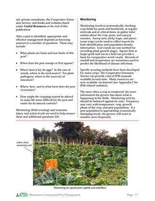 nel, private consultants, the Cooperative Exten-         Monitoring
sion Service, and books and websites listed
under Useful Resources at the end of this                Monitoring involves systematically checking
publication.                                             crop fields for pests and beneficials, at regular
                                                         intervals and at critical times, to gather infor-
After a pest is identified, appropriate and              mation about the crop, pests, and natural
effective management depends on knowing                  enemies. Sweep nets, sticky traps, and phero-
                                                         mone traps can be used to collect insects for
answers to a number of questions. These may
                                                         both identification and population density
include:
                                                         information. Leaf counts are one method for
                                                         recording plant growth stages. Square-foot or
•   What plants are hosts and non-hosts of this          larger grids laid out in a field can provide a
    pest?                                                basis for comparative weed counts. Records of
                                                         rainfall and temperature are sometimes used to
•   When does the pest emerge or first appear?           predict the likelihood of disease infections.

•   Where does it lay its eggs? In the case of           Specific scouting methods have been developed
    weeds, where is the seed source? For plant           for many crops. The Cooperative Extension
    pathogens, where is the source(s) of                 Service can provide a list of IPM manuals
    inoculum?                                            available in each state. Many resources are
                                                         now available via Internet (see Appendix F for
•   Where, how, and in what form does the pest           IPM-related websites).
    overwinter?
                                                         The more often a crop is monitored, the more
                                                         information the grower has about what is
•   How might the cropping system be altered
                                                         happening in the fields. Monitoring activity
    to make life more difficult for the pest and         should be balanced against its costs. Frequency
    easier for its natural controls?                     may vary with temperature, crop, growth
                                                         phase of the crop, and pest populations. If a
Monitoring (field scouting) and economic                 pest population is approaching economically
injury and action levels are used to help answer         damaging levels, the grower will want to
these and additional questions (22).                     monitor more frequently.




yellow sticky
monitoring card




                               Monitoring for squash pests (aphids and whiteflies).

           //Biointensive Integrated Pest Management                                            Page 13
 