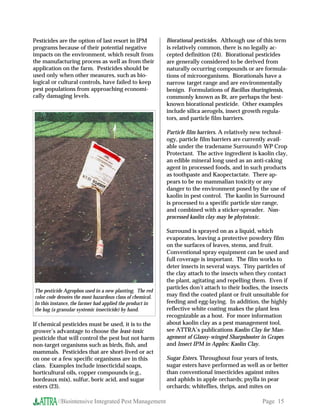 Pesticides are the option of last resort in IPM            Biorational pesticides. Although use of this term
programs because of their potential negative               is relatively common, there is no legally ac-
impacts on the environment, which result from              cepted definition (24). Biorational pesticides
the manufacturing process as well as from their            are generally considered to be derived from
application on the farm. Pesticides should be              naturally occurring compounds or are formula-
used only when other measures, such as bio-                tions of microorganisms. Biorationals have a
logical or cultural controls, have failed to keep          narrow target range and are environmentally
pest populations from approaching economi-                 benign. Formulations of Bacillus thuringiensis,
cally damaging levels.                                     commonly known as Bt, are perhaps the best-
                                                           known biorational pesticide. Other examples
                                                           include silica aerogels, insect growth regula-
                                                           tors, and particle film barriers.

                                                           Particle film barriers. A relatively new technol-
                                                           ogy, particle film barriers are currently avail-
                                                           able under the tradename Surround WP Crop
                                                           Protectant. The active ingredient is kaolin clay,
                                                           an edible mineral long used as an anti-caking
                                                           agent in processed foods, and in such products
                                                           as toothpaste and Kaopectactate. There ap-
                                                           pears to be no mammalian toxicity or any
                                                           danger to the environment posed by the use of
                                                           kaolin in pest control. The kaolin in Surround
                                                           is processed to a specific particle size range,
                                                           and combined with a sticker-spreader. Non-
                                                           processed kaolin clay may be phytotoxic.

                                                           Surround is sprayed on as a liquid, which
                                                           evaporates, leaving a protective powdery film
                                                           on the surfaces of leaves, stems, and fruit.
                                                           Conventional spray equipment can be used and
                                                           full coverage is important. The film works to
                                                           deter insects in several ways. Tiny particles of
                                                           the clay attach to the insects when they contact
                                                           the plant, agitating and repelling them. Even if
                                                           particles don’t attach to their bodies, the insects
The pesticide Agrophos used in a new planting. The red
color code denotes the most hazardous class of chemical.   may find the coated plant or fruit unsuitable for
In this instance, the farmer had applied the product in    feeding and egg-laying. In addition, the highly
the bag (a granular systemic insecticide) by hand.         reflective white coating makes the plant less
                                                           recognizable as a host. For more information
If chemical pesticides must be used, it is to the          about kaolin clay as a pest management tool,
grower’s advantage to choose the least-toxic               see ATTRA’s publications Kaolin Clay for Man-
pesticide that will control the pest but not harm          agement of Glassy-winged Sharpshooter in Grapes
non-target organisms such as birds, fish, and              and Insect IPM in Apples: Kaolin Clay.
mammals. Pesticides that are short-lived or act
on one or a few specific organisms are in this             Sugar Esters. Throughout four years of tests,
class. Examples include insecticidal soaps,                sugar esters have performed as well as or better
horticultural oils, copper compounds (e.g.,                than conventional insecticides against mites
bordeaux mix), sulfur, boric acid, and sugar               and aphids in apple orchards; psylla in pear
esters (23).                                               orchards; whiteflies, thrips, and mites on

          //Biointensive Integrated Pest Management                                                Page 15
 