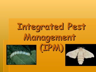 Integrated Pest Management  (IPM) 