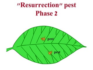 "Resurrection" pest
Phase 2
pest
pest
 