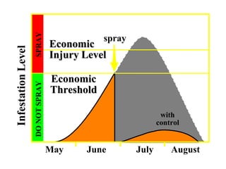 JulyJuneMay
Economic
Injury Level
InfestationLevel
August
Economic
Threshold
sprayDONOTSPRAYSPRAY
with
control
 